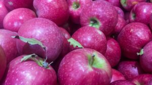 Buyer: Apple.<br>Quantity: 10MT.<br>Destination: Dubai, UAE.<br>Contact: +971567081247 |+971507137428 | WhatsApp|.<br>Email: growfreshtrading@hotmail. com| info@growfreshtrading.com|. <br>#Apple #fruit #trade #export #Ethiopia #import #expo #southafrica #tradeafrica #businessafrica #investmentafrica #tradeethiopia #trade #internationaltrade #export #import #agri #real_estate #garment #textile #leather #renewableenergy #electriovehicles #tourism #ethiopiandiaspora #useembassyaddisababa #dcinternationalfestival #ethiointernationalexpo #expo #coffee #agriexport #agriimport #africa #itc #pacci #usafricabusiness #europeafricabusiness