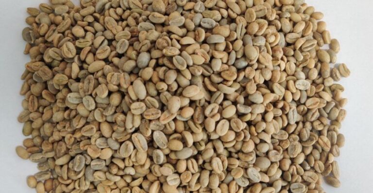 Supplier: Ethiopian Coffee.<br>Quality: Shaka Grade 5.<br>Quantity: 1×20 feet.<br>Company name: Manendreas Trading PLC .<br>Contact : +251 920127182 | WhatsApp.<br> #tradethiopia #import #export #coffee #ethiopian_coffee #trade #shaka #arabica #coffee_market