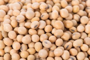 Buyer: NON-GMO Soybeans.<br>Quantity: 5,000 MT.<br>Destination: Nava Shava, Mumbai-India.<br>Contact :  +917415543856 | WhatsApp.<br>Email: shailendraglobalbiz@gmail.com