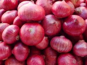 Buyer: Onion. <br>Quantity: 10MT per Week. <br>Destination: Dubai, UAE. <br>Contact: +971567081247 |+971507137428 | WhatsApp|. <br>Email: growfreshtrading@hotmail. com| info@growfreshtrading.com|. <br>#onion #Dubai #trade #export #Ethiopia #import #expo #southafrica #tradeafrica #businessafrica #investmentafrica #tradeethiopia #trade #internationaltrade #export #import #agri #real_estate #garmentnt #textile #leather #renewableenergy #electriovehicles #tourism #ethiopiandiaspora #useembassyaddisababa #dcinternationalfestival #ethiointernationalexpo #expo #coffee #agriexport #agriimport #africa #itc #pacci #usafricabusiness #europeafricabusiness