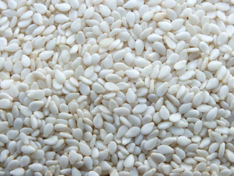 Supplier: Ethiopia Sesame seed. <br>Quality: Humera Type Whitish Sesame seed. <br>Quantity: 190MT. <br>Company name: Aniley Adimasu Adigeh.<br>Contact: +251954988557/ +251911163690| WhatsApp. <br>Email: Abenezert@aggacoffees.com. <br>#trade #export #Ethiopia #import #expo #southafrica #tradeafrica #businessafrica #investmentafrica #tradeethiopia #trade #internationaltrade #export #import #agri #real_estate #garment #textile #leather #renewableenergy #electriovehicles #tourism #ethiopiandiaspora #useembassyaddisababa #dcinternationalfestival #ethiointernationalexpo #expo #coffee #agriexport #agriimport #africa #itc #pacci #usafricabusiness #europeafricabusiness