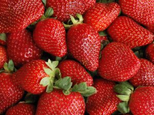 Buyer: Strawberry.<br>Quantity: 10MT.<br>Destination: Dubai, UAE.<br>Contact: +971567081247 |+971507137428 | WhatsApp|.<br>Email: growfreshtrading@hotmail. com| info@growfreshtrading.com|.<br>#strawberry #berry #fruit #trade #export #Ethiopia #import #expo #southafrica #tradeafrica #businessafrica #investmentafrica #tradeethiopia #trade #internationaltrade #export #import #agri #real_estate #garment #textile #leather #renewableenergy #electriovehicles #tourism #ethiopiandiaspora #useembassyaddisababa #dcinternationalfestival #ethiointernationalexpo #expo #coffee #agriexport #agriimport #africa #itc #pacci #usafricabusiness #europeafricabusiness #natural #international