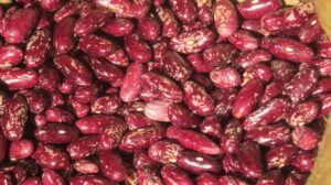 Buyer: RSKB.<br>Quantity: 140 Tone.<br>Destination: Karachi, Pakistan.<br>Contact: +251904944444|WhatsApp|.<br>Email: md@tradethiopia.com<br>#rskb #Kidney_bean #trade #export #Ethiopia #import #expo #southafrica #tradeafrica #businessafrica #investmentafrica #tradeethiopia #trade #internationaltrade #export #import #agri #real_estate #garment #textile #leather #renewableenergy #electriovehicles #tourism #ethiopiandiaspora #useembassyaddisababa #dcinternationalfestival #ethiointernationalexpo #expo #coffee #agriexport #agriimport #africa #itc #pacci #usafricabusiness #europeafricabusiness #ethiopia