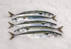 Buyer: Mackerel Frozen Fish.<br>Quantity:200MT.<br>Destination: Alexandria, Egypt .<br>Contact: +201283835081|WhatsApp|.<br>Email: Admin@elnopytrade.com<br>#mackerel #fish #frozen #trade #export #Ethiopia #import #expo #southafrica #tradeafrica #businessafrica #investmentafrica #tradeethiopia #trade #internationaltrade #export #import #agri #real_estate #garment #textile #leather #renewableenergy #electriovehicles #tourism #ethiopiandiaspora #useembassyaddisababa #dcinternationalfestival #ethiointernationalexpo #expo #coffee #agriexport #agriimport #africa #itc #pacci #usafricabusiness #europeafricabusiness #ethiopia