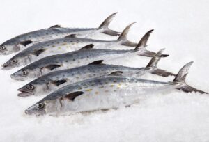 Buyer: Horese Mackerel Frozen Fish.<br>Quantity:200MT.<br>Destination: Alexandria, Egypt .<br>Contact: +201283835081|WhatsApp|.<br>Email: Admin@elnopytrade.com<br>#fish #frozen #trade #export #Ethiopia #import #expo #southafrica #tradeafrica #businessafrica #investmentafrica #tradeethiopia #trade #internationaltrade #export #import #agri #real_estate #garment #textile #leather #renewableenergy #electriovehicles #tourism #ethiopiandiaspora #useembassyaddisababa #dcinternationalfestival #ethiointernationalexpo #expo #coffee #agriexport #agriimport #africa #itc #pacci #usafricabusiness #europeafricabusiness #ethiopia