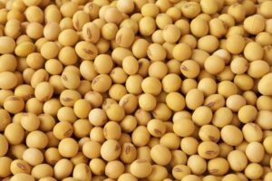 Buyer: Soy Bean.<br> Quantity: 230 Ton. Destination: Qingdao port, china.<br> Contact: +251904944444|WhatsApp|. <br>Email: md@tradethiopia.com. <br>#soybean #beans  #trade #export #Ethiopia #import #expo #southafrica  #businessafrica #investmentafrica #tradeethiopia #trade #internationaltrade #export #import #agri #real_estate #garment #textile #leather #renewableenergy #electriovehicles #tourism #ethiopiandiaspora #useembassyaddisababa #dcinternationalfestival #ethiointernationalexpo #expo #coffee #agriexport #agriimport #africa #itc #pacci #usafricabusiness #europeafricabusiness #ethiopia #green #plantbased