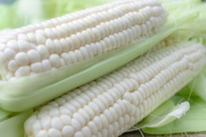 Buyer: White Maize For Human consumption.<br>Quantity: 1000 MT.<br>Destination: Djibouti.<br>Contact: +923180224013|WhatsApp|.<br>#white_maize #corn #trade #export #Ethiopia #import #expo #southafrica #tradeafrica #businessafrica #investmentafrica #tradeethiopia #trade #internationaltrade #export #import #agri #real_estate #garment #textile #leather #renewableenergy #electriovehicles #tourism #ethiopiandiaspora #useembassyaddisababa #dcinternationalfestival #ethiointernationalexpo #expo #coffee #agriexport #agriimport #africa #itc #pacci #usafricabusiness #europeafricabusiness #ethiopia