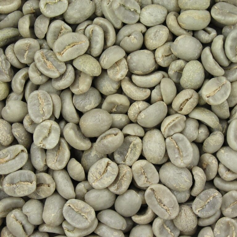 Supplier: Bursa Coffee.<br>Product: G1 Washed Sidama.<br> Country: Ethiopia.<br> Quantity: 45ton. <br>Contact: +251911729535 | WhatsApp|. <br>Email: muntashamulugeta744@gmail.com. <br>#coffee #arabica #ethiopiancoffee #trade #export #Ethiopia #import #expo #southafrica #tradeafrica #businessafrica #investmentafrica #tradeethiopia #trade #internationaltrade #export #import #agri #real_estate #garment #textile #leather #renewableenergy #electriovehicles #tourism #ethiopiandiaspora #useembassyaddisababa #dcinternationalfestival #ethiointernationalexpo #expo #coffee #agriexport #agriimport #africa #itc #pacci #usafricabusiness #europeafricabusiness #agriculture #ethiopia