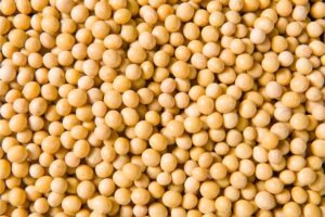 Buyer: Soy Bean.<br>Quantity: 500 MT.<br>Destination: Karachi port, Pakistan.<br>Contact: Contact: +251904944444|WhatsApp|.<br>Email: md@tradethiopia.com.<br>#soybean #beans #trade #export #Ethiopia #import #expo #southafrica #businessafrica #investmentafrica #tradeethiopia #trade #internationaltrade #export #import #agri #real_estate #garment #textile #leather #renewableenergy #electriovehicles #tourism #ethiopiandiaspora #useembassyaddisababa #dcinternationalfestival #ethiointernationalexpo #expo #coffee #agriexport #agriimport #africa #itc #pacci #usafricabusiness #europeafricabusiness #ethiopia