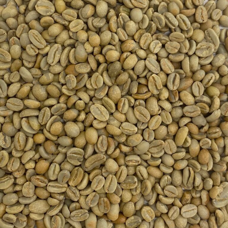 Supplier: Limmu Washed Coffee.<br>Quantity: 11×20 Feet Container.<br>Contact: +251904944444|WhatsApp|.<br>Email: md@tradethiopia.com.<br>#coffee #arabica #limmu #gara #washed #llbu_coffee #beans #trade #export #Ethiopia #import #expo #southafrica #businessafrica #investmentafrica #tradeethiopia #trade #internationaltrade #export #import #agri #real_estate #garment #textile #leather #renewableenergy #electriovehicles #tourism #ethiopiandiaspora #useembassyaddisababa #dcinternationalfestival #ethiointernationalexpo #expo #coffee #agriexport #agriimport #africa #itc #pacci #usafricabusiness #europeafricabusiness #ethiopia