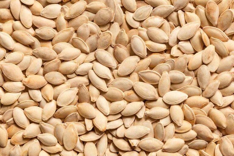 Buyer: Pumpkin Seeds. <br>Quantity: 2 x 40 feet containers. <br>Destination: Hodeidah Port, Yemen. <br>Contact: +25104944444|whatsapp|. <br>Email: md@tradethiopia.com. <br>#seeds #pulses #trade #export #Ethiopia #import #expo #southAfrica #businessafrica #investmentafrica #tradeethiopia #trade #internationaltrade #export #import #agri #real_estate #garment #textile #leather #renewableenergy #electriovehicles #tourism #ethiopiandiaspora #useembassyaddisababa #dcinternationalfestival #ethiointernationalexpo #expo #coffee #agriexport #agriimport #africa #itc #pacci #usafricabusiness #europeafricabusiness #ethiopiandiaspora