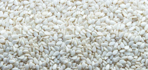 Supplier: Sesame Seeds whitish Humera. <br>Quantity: 10 X 20 feet container. <br>Contact: +25104944444|WhatsApp|. <br>Email: md@tradethiopia.com. <br>#Sesame #whitishsesame #trade #export #Ethiopia #import #expo #southafrica #businessafrica #investmentafrica #tradeethiopia #trade #internationaltrade #export #import #agri #real_estate #garment #textile #leather #renewableenergy #electriovehicles #tourism #ethiopiandiaspora #useembassyaddisababa #dcinternationalfestival #ethiointernationalexpo #expo #coffee #agriexport #agriimport #africa #itc #pacci #usafricabusiness #europeafricabusiness #ethiopiandiaspora