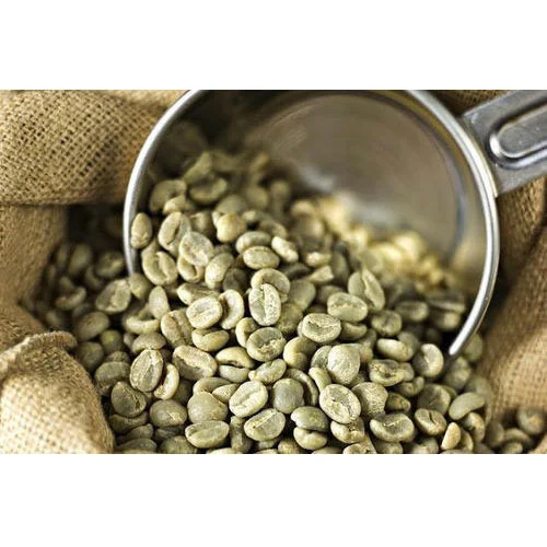 Buyer: Ethiopian Coffee beans buyer seek a vertical agreement to buy Ethiopian Djimma G4 coffee. <br>Quantity: 6 X 20 feet containers. <br>Contact: +251 92 298 4599 | +251904944444 |WhatsApp|. <br>#coffee #arabicacoffee #trade #export #Ethiopia #import #expo #southafrica #businessafrica #investmentafrica #tradeethiopia #trade #internationaltrade #export #import #agri #real_estate #garment #textile #leather #renewableenergy #electriovehicles #tourism #ethiopiandiaspora #useembassyaddisababa #dcinternationalfestival #ethiointernationalexpo #expo #coffee #agriexport #agriimport #africa #itc #pacci #usafricabusiness #europeafricabusiness #ethiopiandiaspora